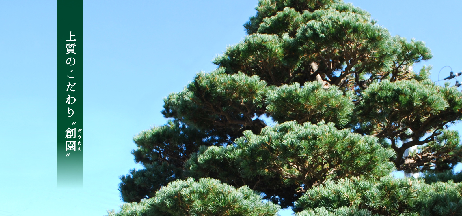 上質のこだわり”創円